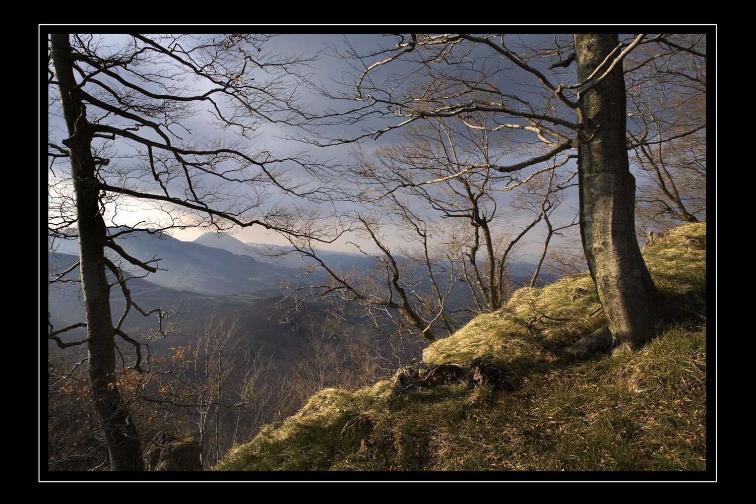 Autorska fotografija